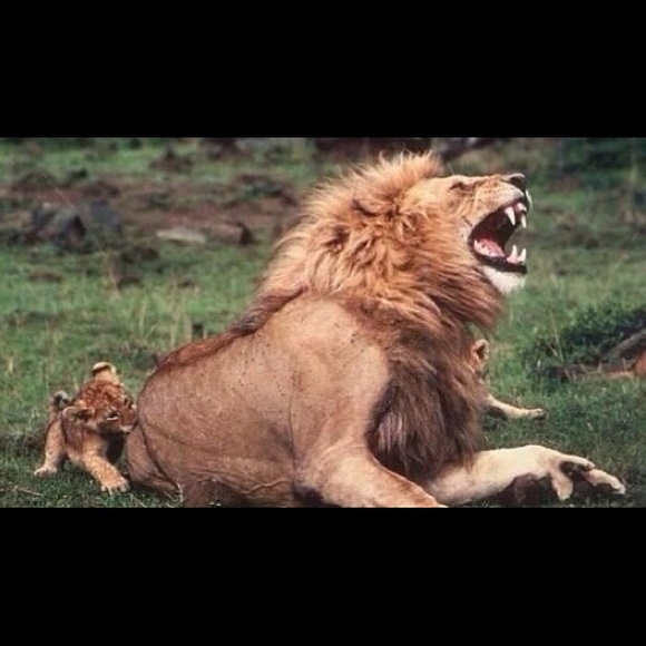 Meet your Posher, Wayne - Picture 5 of 7